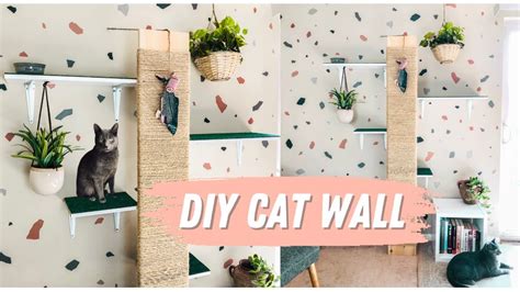 Cat shelves (rental friendly) : r/CatAdvice